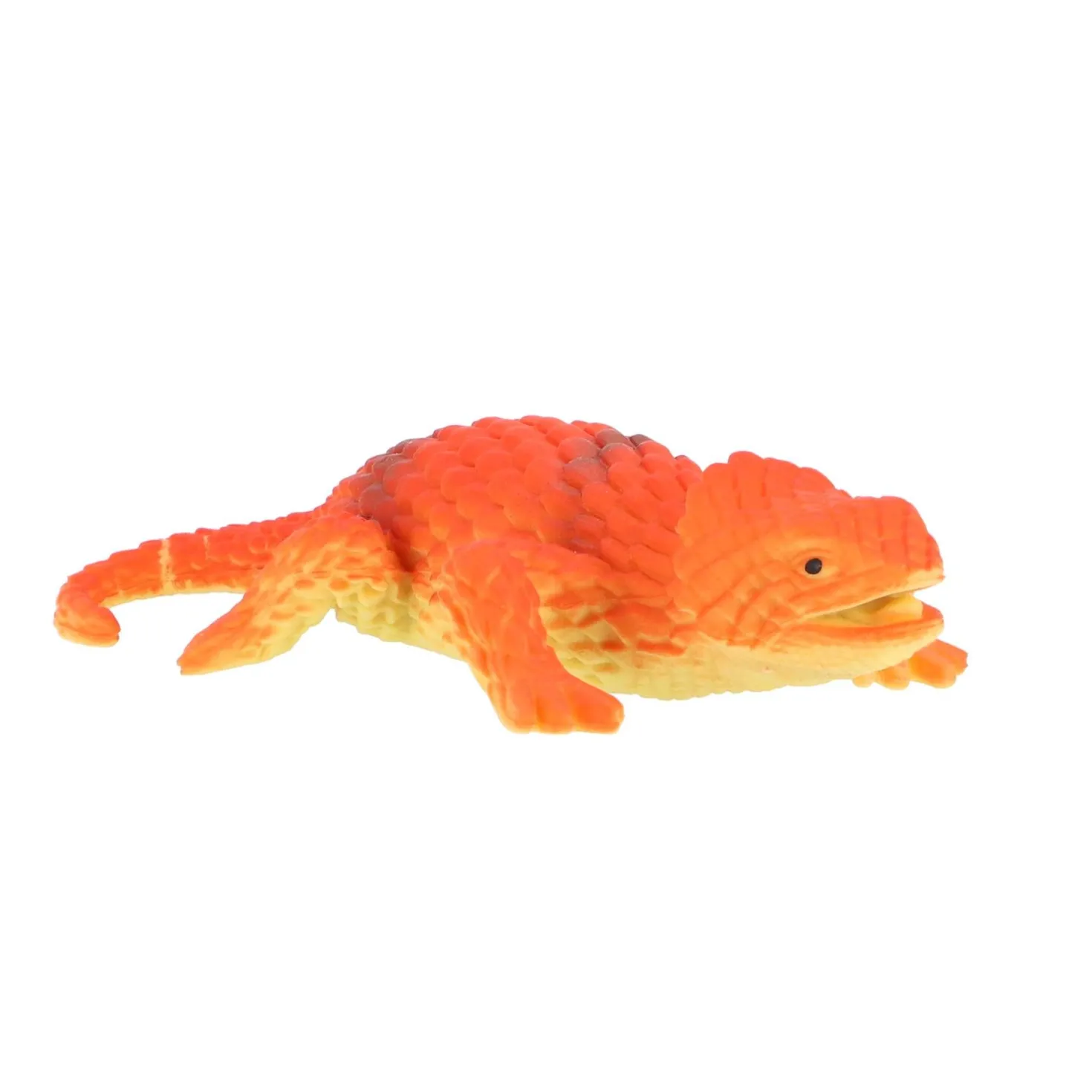 Amazing Cool hagedis color change