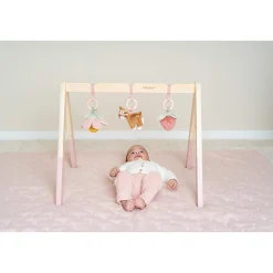 Babygym Fairy Garden