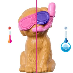 Barbie family puppy pool party