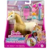 Barbie Pony + Piece Count Asst