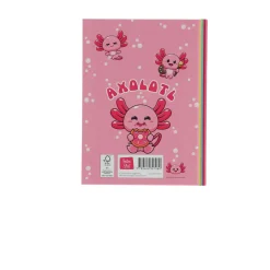 Boek Vriendenboek Axolotl