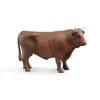 Bruder Stier