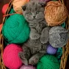 Clementoni puzzel kitten in mand met wol 500 stukjes