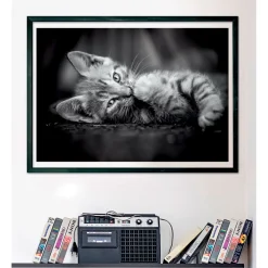 Clementoni Puzzel 1000 stuks kitten compact