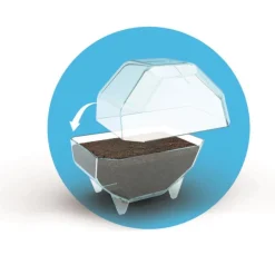 Clementoni wild Terrarium leeuw