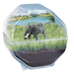 Clementoni wild Terrarium olifant