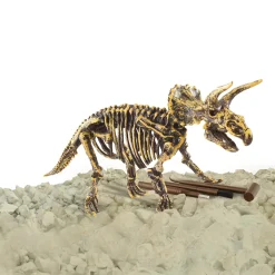 Dinobase Dino uitbikken Triceratops 3D set
