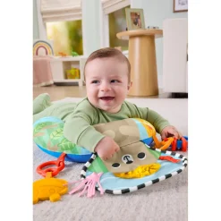 Fisher Price new born balanced beginnings buik