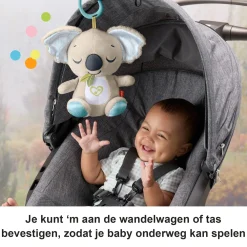 Fisher price on the go koala soother