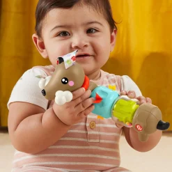 Fisher Price Pets Click & Spin Pup