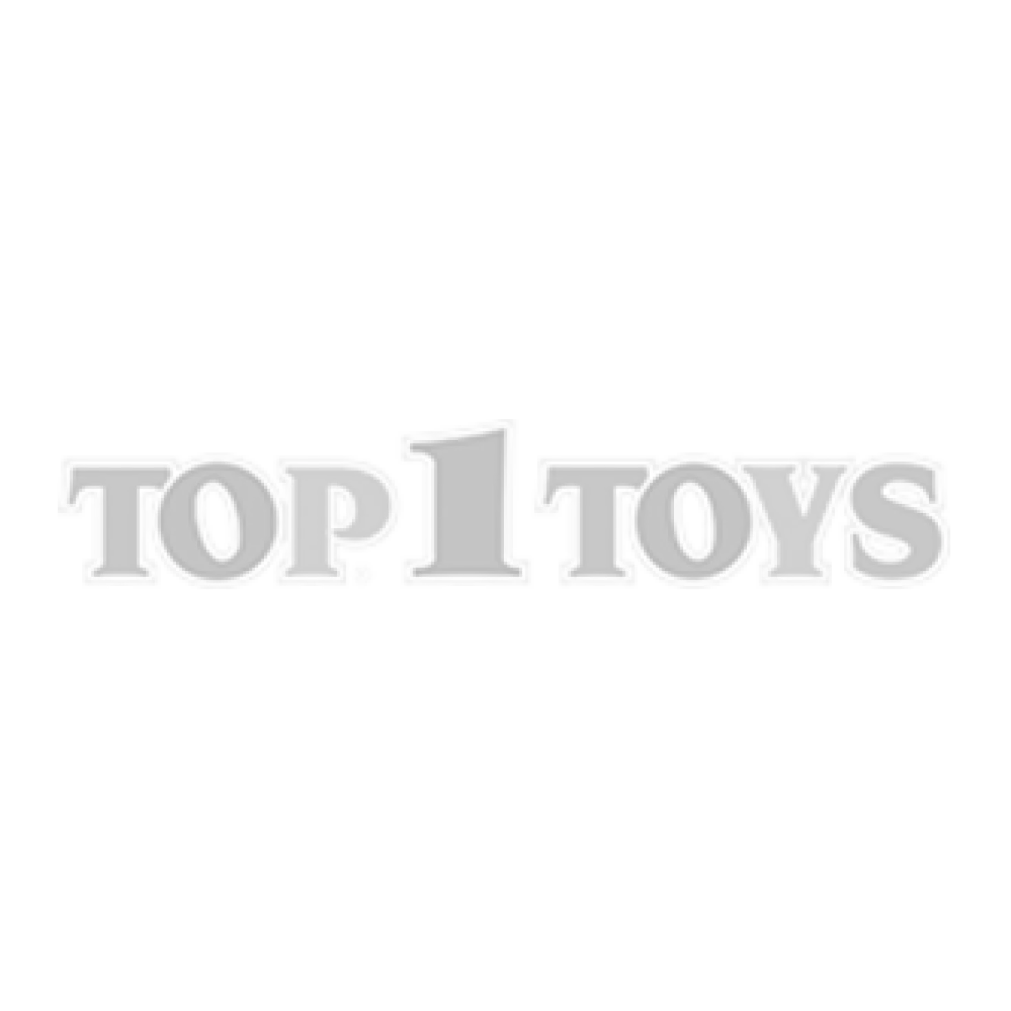 Flippy The Magic Dolphin
