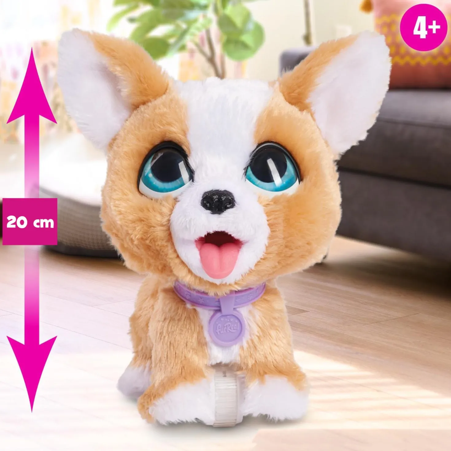 Furreal poop a lots Corgi