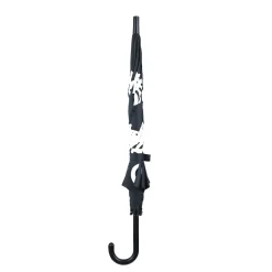 Kleur veranderende paraplu kameleon