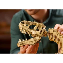 LEGO Dinosaur Fossils: Tyrannosaurus rex (76968)