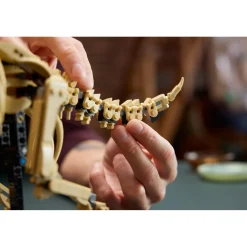 LEGO 77985 Jurassic World Dinosaurusfossielen: Triceratops