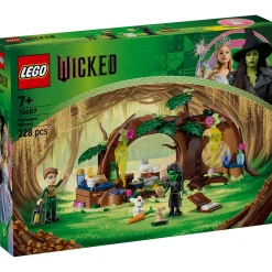 LEGO 75687 Wicked Elphaba's schuilhut