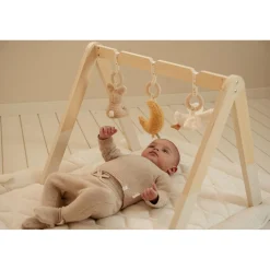 Little Dutch babygym newborn naturals