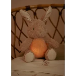 Little Dutch knuffelkonijn licht & geluid