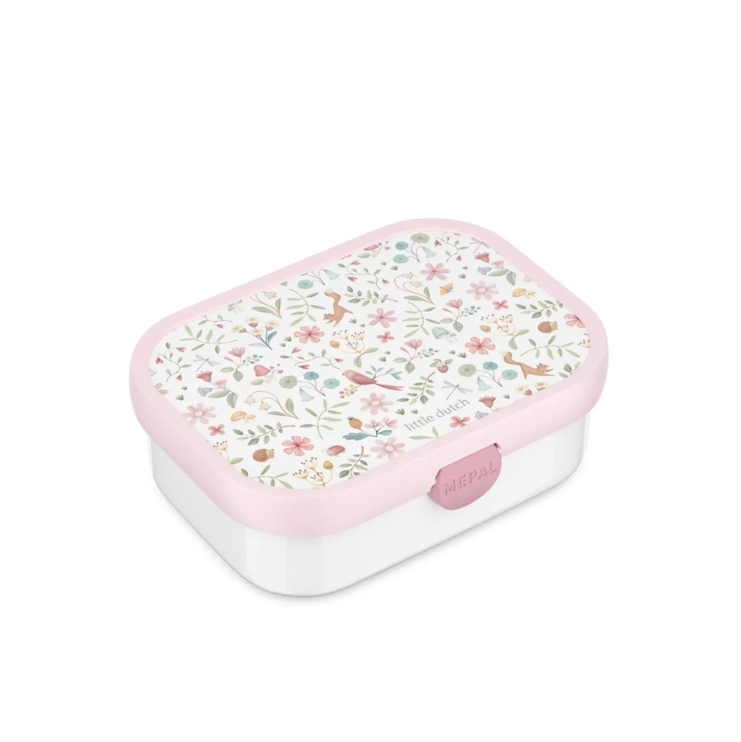Lunchbox campus - fairy wonders