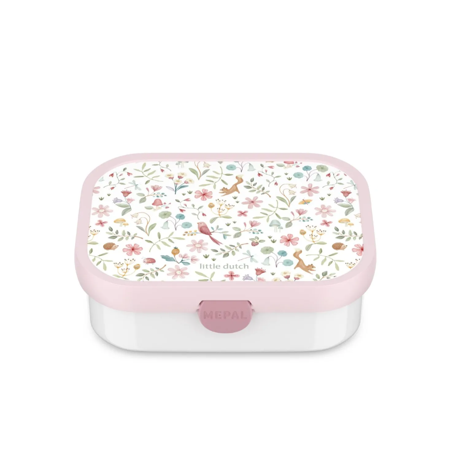 Lunchbox campus - fairy wonders