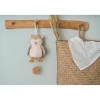 Muziekdoos Uil Forest Friends Grs