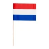 10 Papieren Zwaaivlaggen Nederland 20x30 Cm