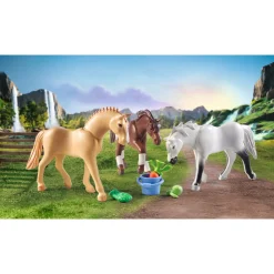 Playmobil 71356 Horses Paarden Accessoires