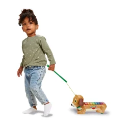 Premium Collection Vtech Baby Timmie Teckel Xylofoon