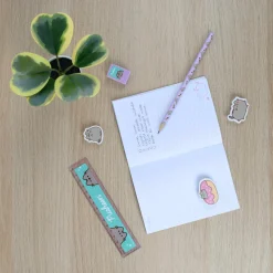 Pusheen Note Set
