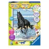 Ravensburger Schilderen Op Nummer paard in de branding