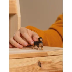 Schleich 13972 Teckel