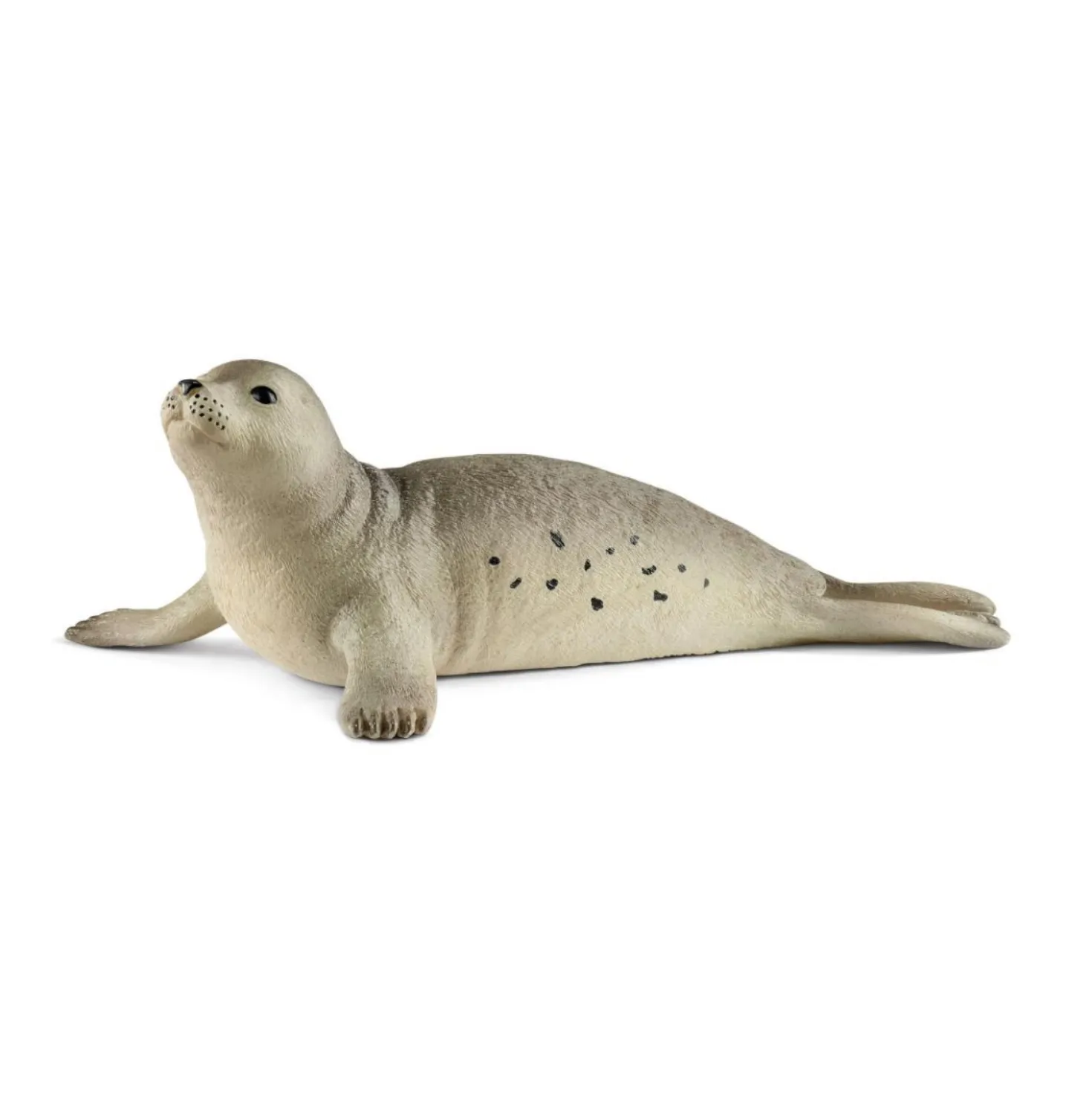 Schleich 14801 Zeehond