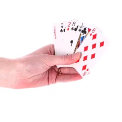 Speelkaarten 2 Sets
