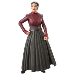 Star Wars S3 Black series figuur 15 cm assorti