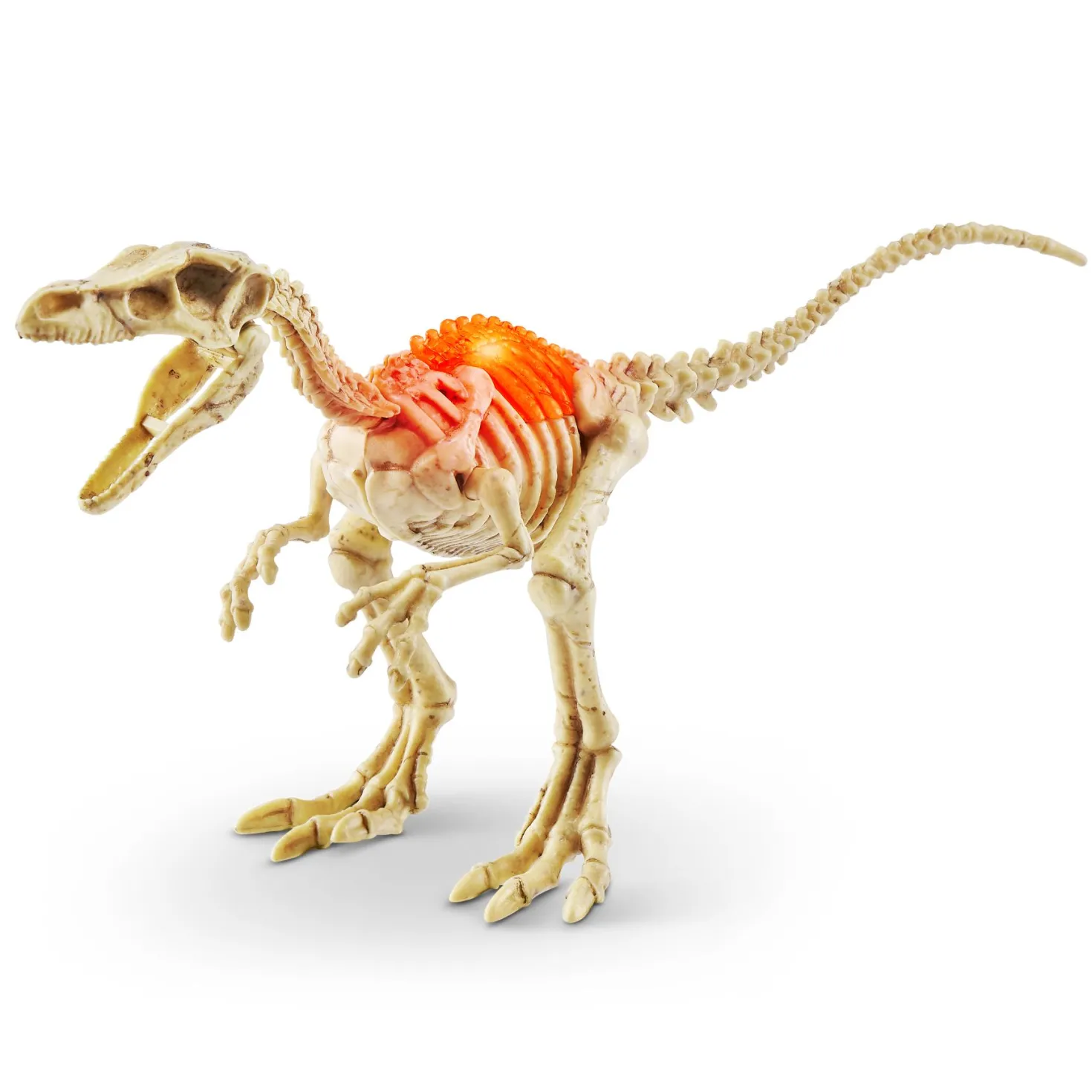 Zuru robo alive dino fossil find mini